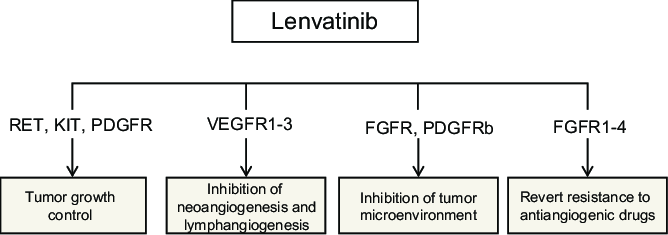 Lenvatinib to Treat Anaplastic Thyroid Cancer