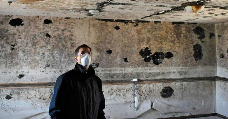 Does Mold Cause Lung Cancer?