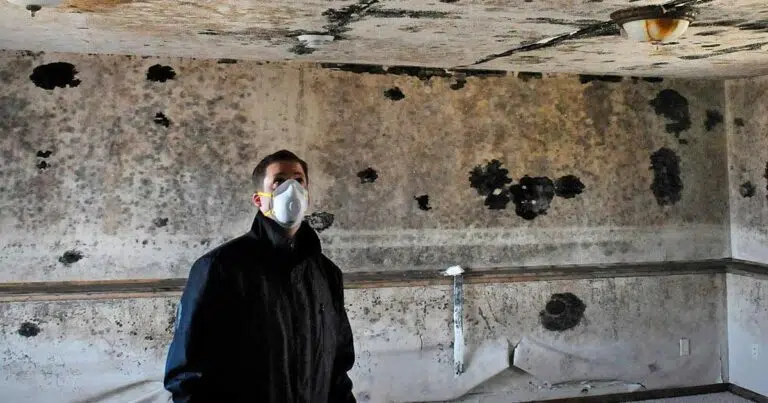 Does Mold Cause Lung Cancer?