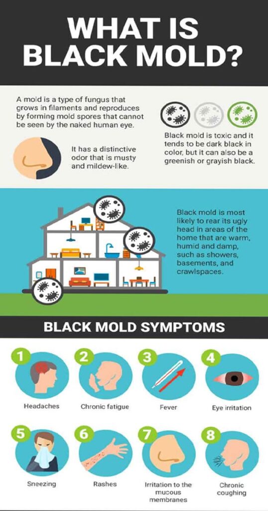 Black mold and lung cancer