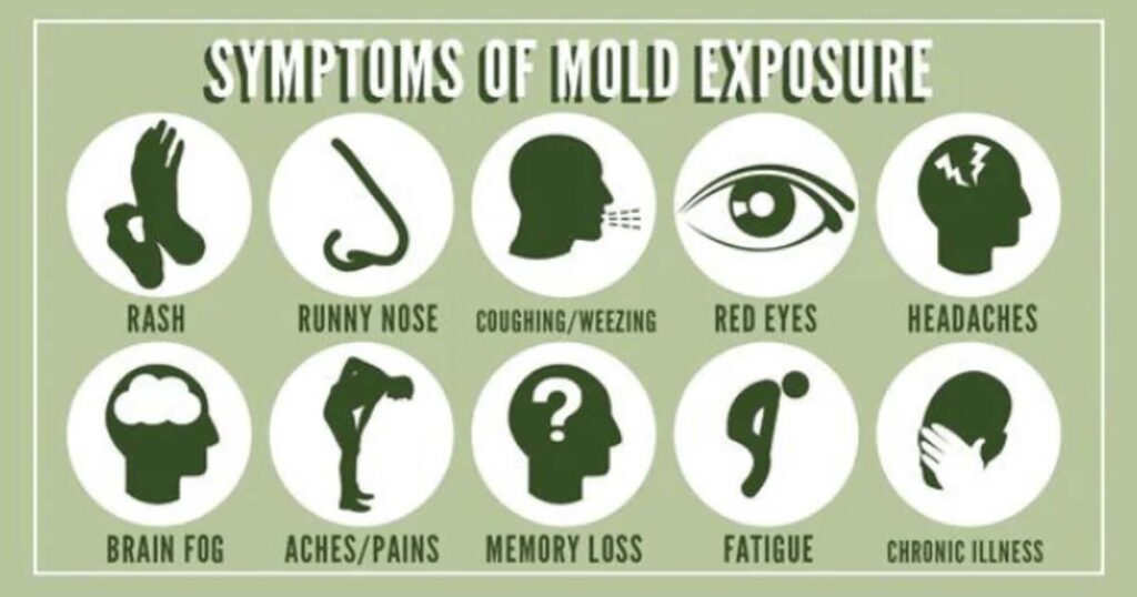 Symptoms of Mold Exposure