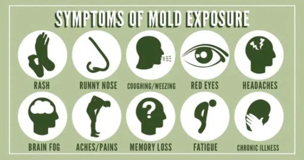 Symptoms of Mold Exposure